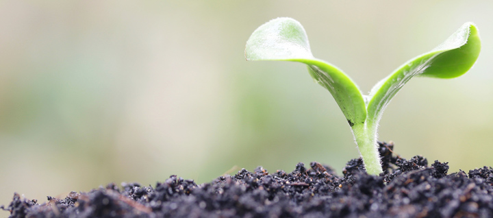 Our Commitment to Environmental, Health and Safety